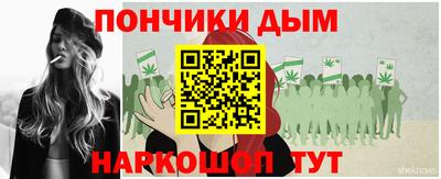 МДПВ Бийск