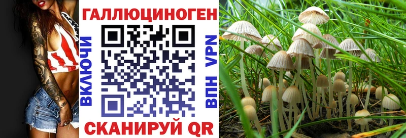 Галлюциногенные грибы Psilocybe  Богданович 