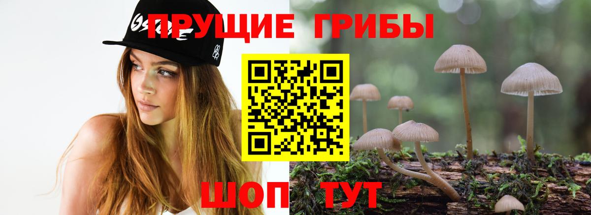 Галлюциногенные грибы MAGIC MUSHROOMS Богданович